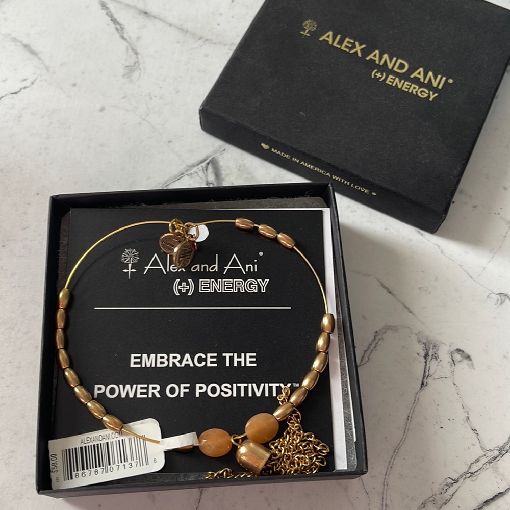 Alex and ani bracelet